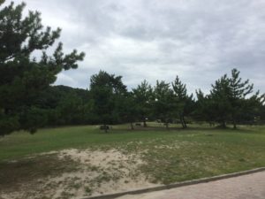 キャンプサイト