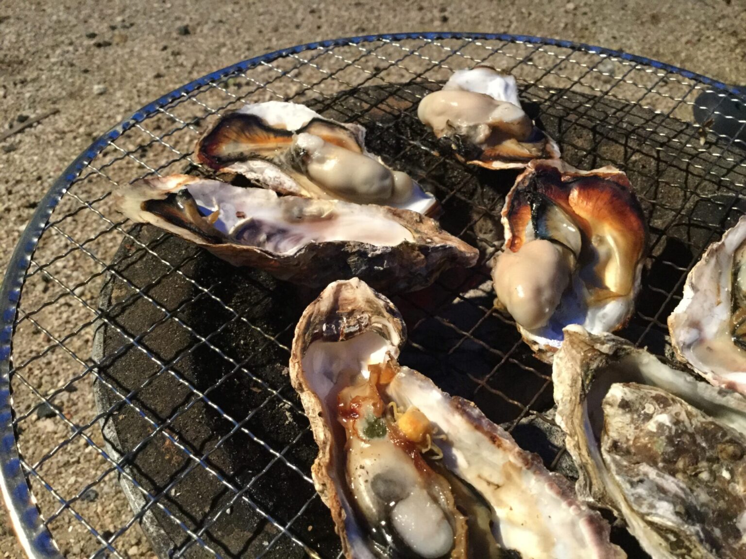 これから旬になる海鮮バーベキュー 牡蠣の美味しい焼き方 外遊び企画推進室