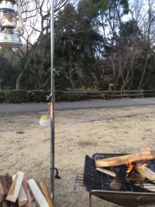 タネホオズキとの親和性