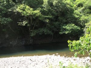 小森キャンプ場の川①