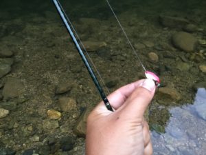 朝のルアーは赤金