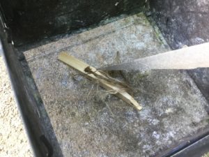 着火前アサヒモ準備