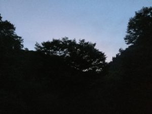 小森キャンプ村朝4時半