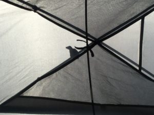 タープに写る鳥の影