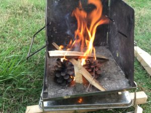 松ぼっくり炎上中！