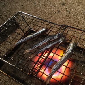 マルチロースターでめざし