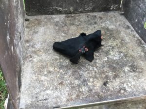 チャークロスに着火する