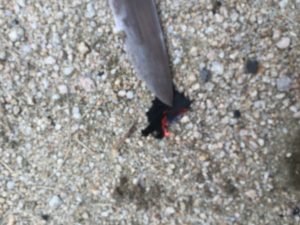 燃えるチャークロス