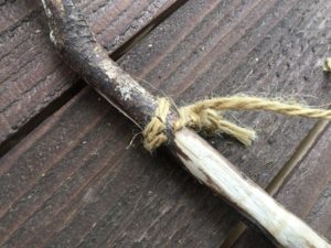 黒曜石で切れたアサヒモ