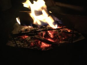 ピコグリルで焚火