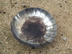 キャプテンスタッグの焚火皿