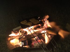 Daisoの串で焚火