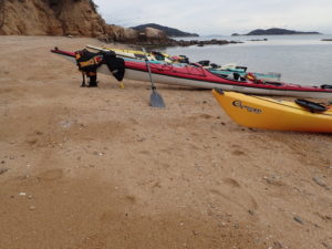 カヤックたくさん