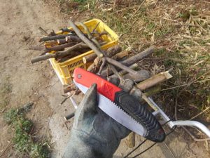 30分程の成果の薪