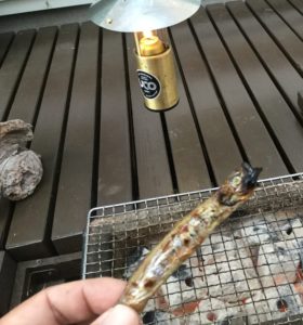 こんがりシシャモ！