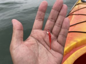 ジグヘッドとルアー