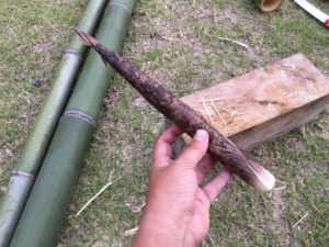 真竹のタケノコ