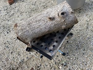 ファイアグリルsoloに薪を置いてみる