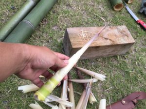 皮をむくタケノコ