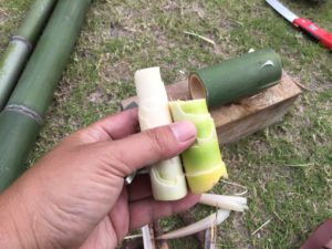 タケノコの調理前