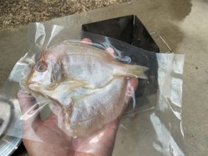 レンコ鯛の皮面