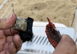 火種が落ちたチャークロス