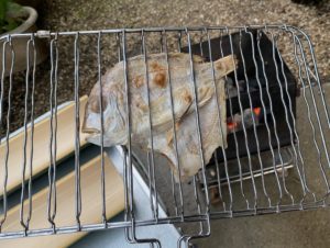レンコ鯛の一汐干し焼き上がり