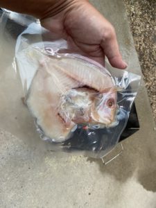 レンコ鯛の一汐干し