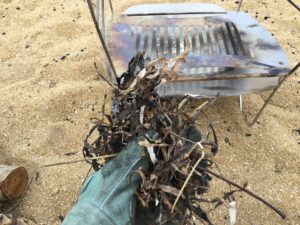 海藻に火をつける