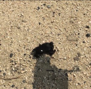 チャークロスに火をつける