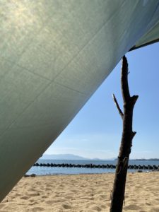 ビークフライの楽しみ方