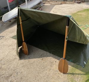 ビークフライ風