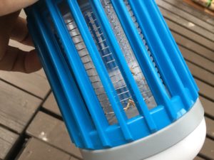 虫が着いた殺虫ライト