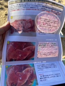 カツオのづけ丼の作り方