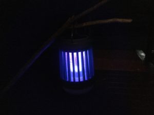 殺虫ライト点灯