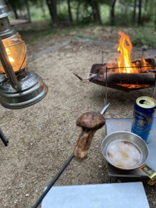 マツタケ焼き上がり