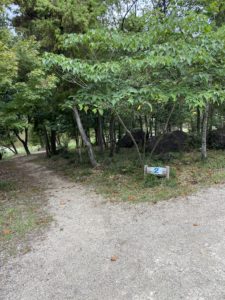 サイトへの小道