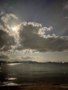 車内からの景色