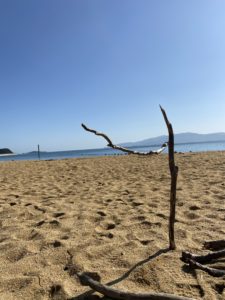 流木ランタンスタンド