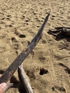 流木に切れ目を入れる