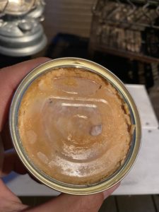 フォアグラのテリーヌ