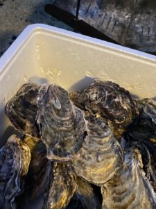 光栄水産本tんの牡蠣