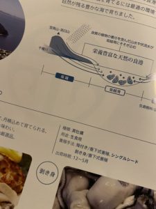 光栄水産の牡蠣