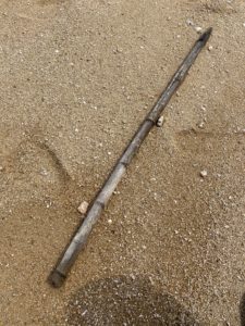 漂流物の竹