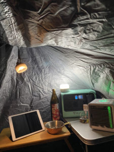 おこもりキャンプ