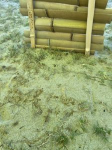 ファイヤーセーフ