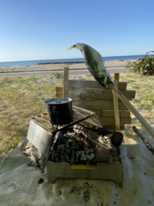 焚き火で魚を焼く