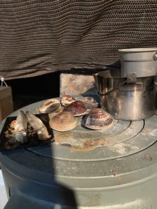 薪ストーブでハマグリを焼く