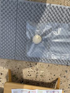 手打ちうどんセット