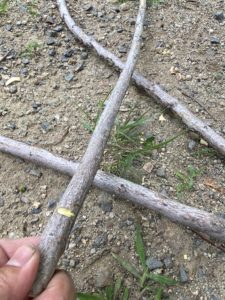 Seriaのトライポットの枝を細工する